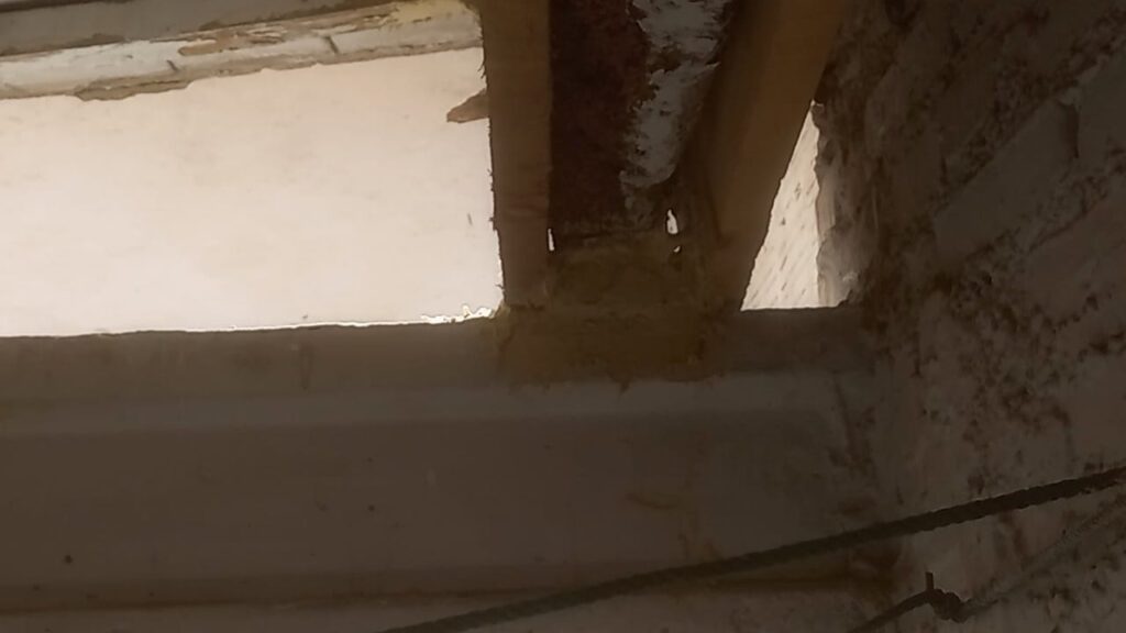 Eliminación termitas y posterior restauración 04