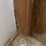 Empresa eliminación termitas Valencia ejemplo 160