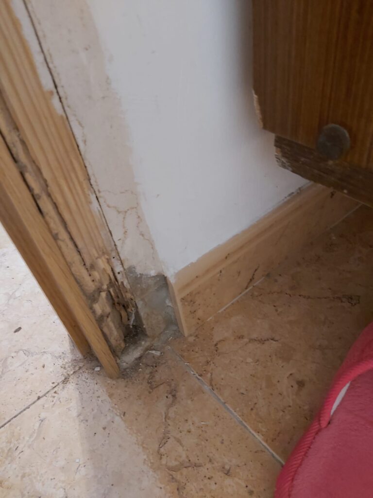 Empresa eliminación termitas Valencia ejemplo 173