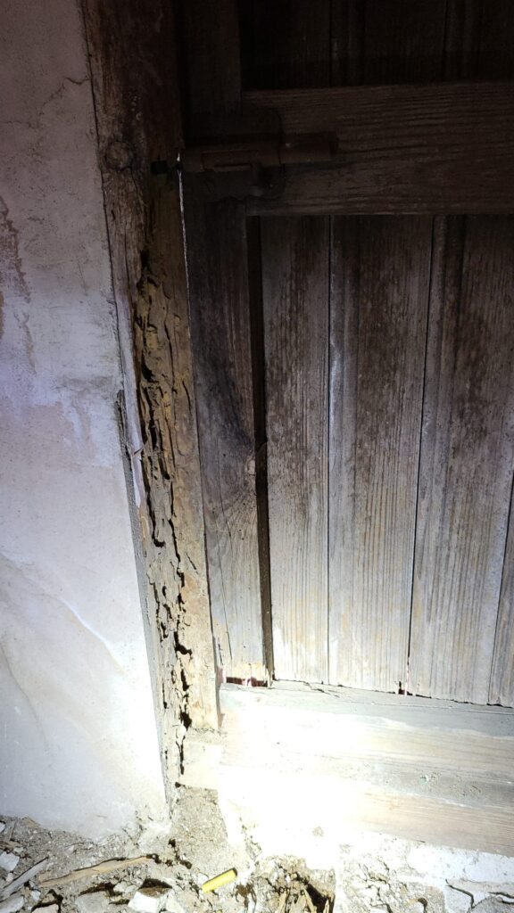 Inspección termitas en vivienda Alfafar